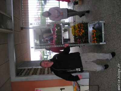 Enfin! Les fleurs arrivent!!!